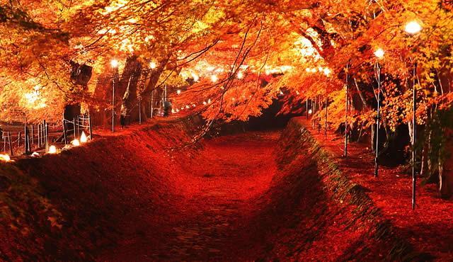 Minshuku Fugakuso Otel Fujikawaguchiko Dış mekan fotoğraf