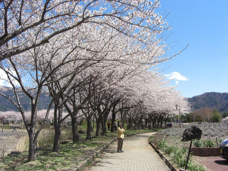 Minshuku Fugakuso Otel Fujikawaguchiko Dış mekan fotoğraf